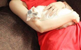 青豆客 – 王婉悠Queen再发力，这次的丛林系列更新是不是有点“天然去雕饰”？